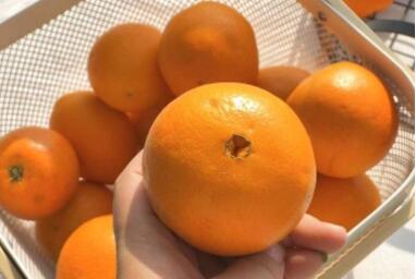 赣南脐橙多少钱一斤？味道怎么样？